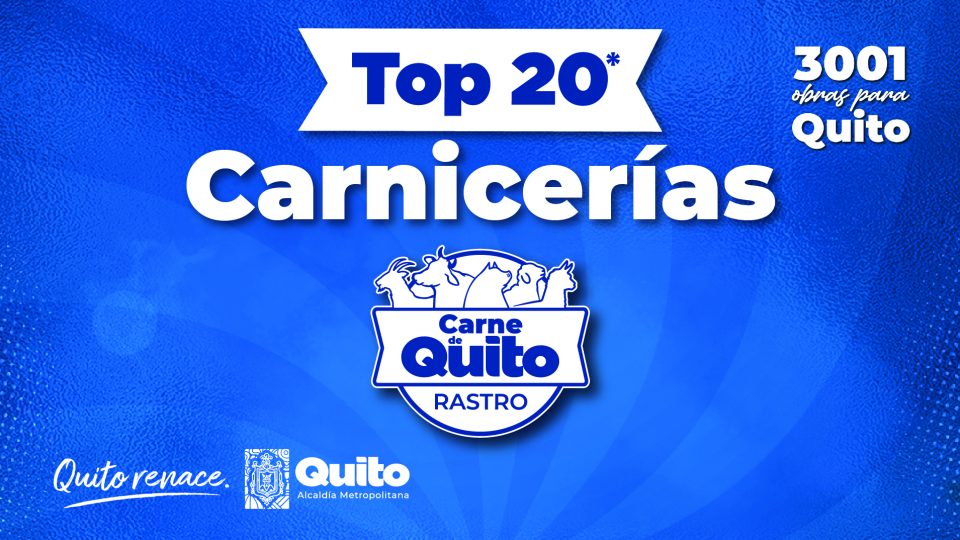 banner top 20@2x-100